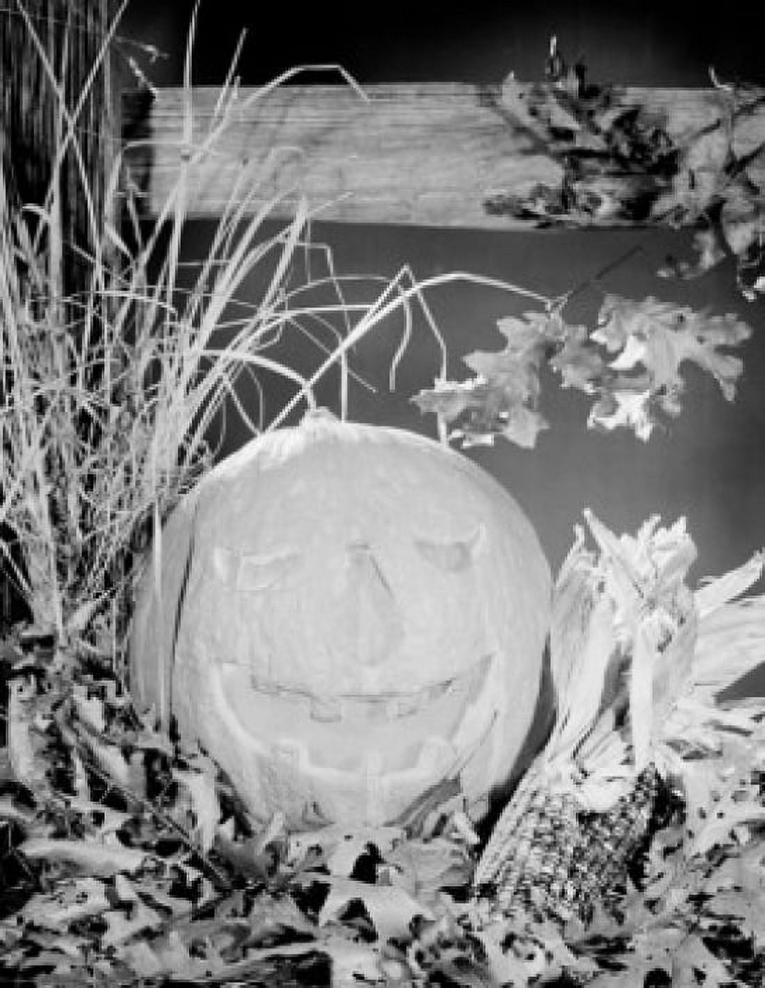 Still life with Halloween pumpkin Canvas Art - (24 x 36)