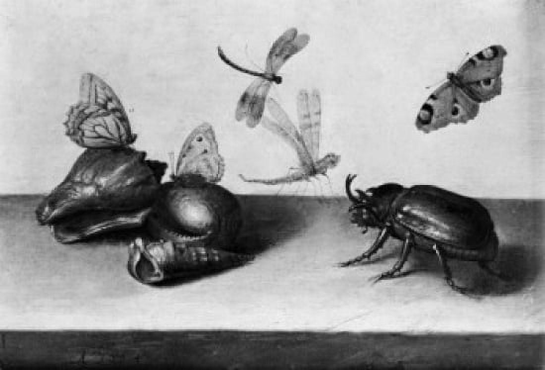 Still life with Insects by Margaretha de Heere Canvas Art - Margaretha de Heere (18 x 24)