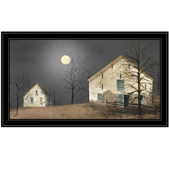 TrendyDecor4U Still Of The Night By Billy Jacobs Framed Print BJ101-704G