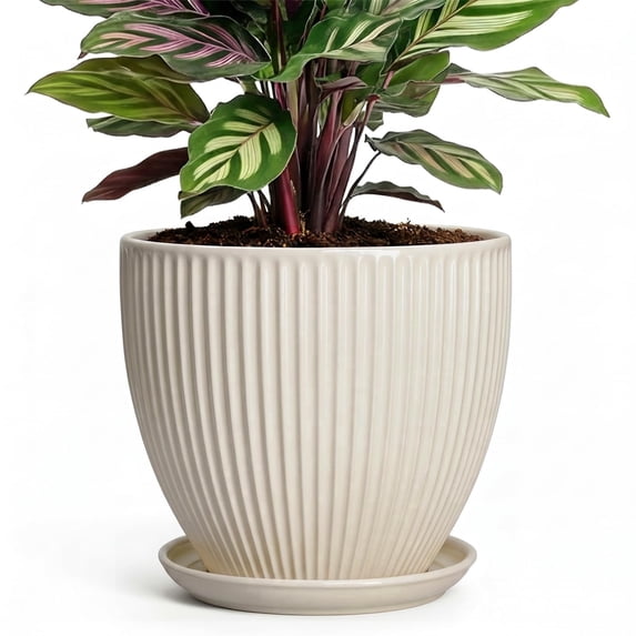 Ordivic 6 inch Plant Pots for Indoor Plants, Ceramic Round Planter with Drainage Hole & Saucer for Orchids & Peace Lily,Living Room Shelf Decor,Cream White