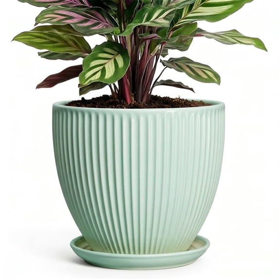 Ordivic 6 inch Mint Green Round Ceramic Planter with Drainage Hole & Saucer, Vertical Ribbed Flower Pot for Mint, Basil, Herbs, Calathea, Indoor Kitchen Counter Windowsill Decor