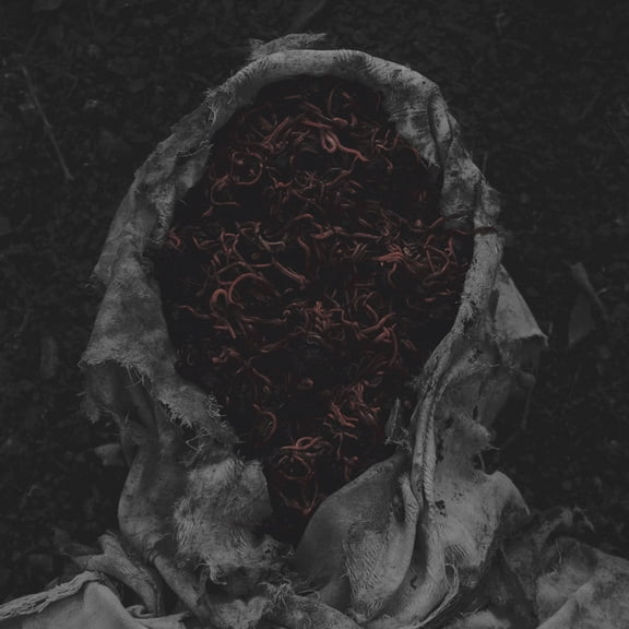 Gorrch - Stillamentum [COMPACT DISCS]