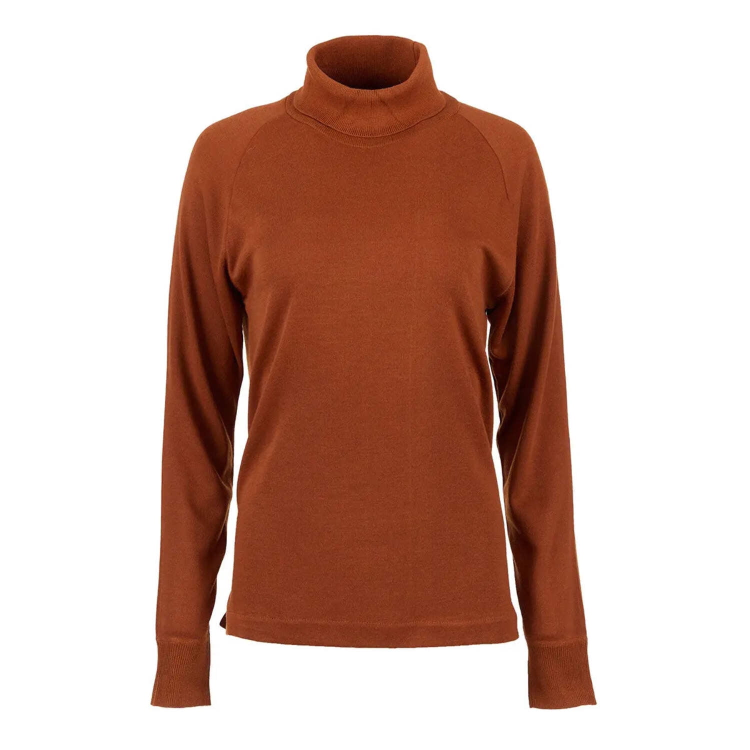Sweater with Turtleneck