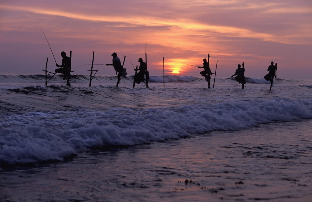 Stilt Fishermen Silhouetted At Sunset Canvas Art - Rob Penn Design Pics (19 x 12)