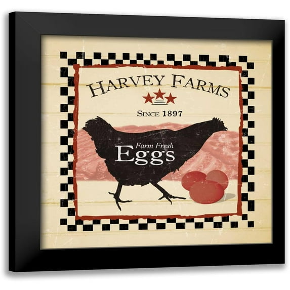 Stimson, Diane 15x15 Black Modern Framed Museum Art Print Titled - Harvey Farms Eggs