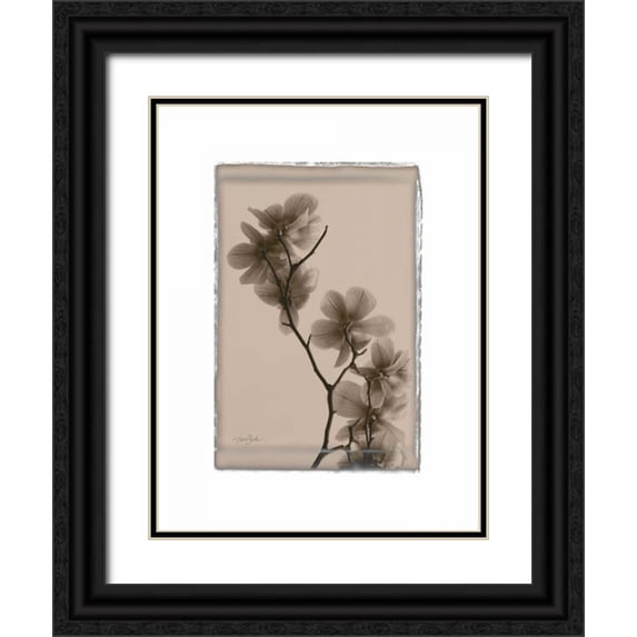 Stimson, Diane 15x18 Black Ornate Wood Framed with Double Matting Museum Art Print Titled - Magnolias
