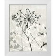thumbnail image 1 of Stimson, Diane 15x18 White Modern Wood Framed Museum Art Print Titled - ranquil Grass 1 BW, 1 of 4