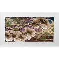 thumbnail image 1 of Stimson, Diane 24x14 White Modern Wood Framed Museum Art Print Titled - Magnolias 1, 1 of 4