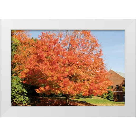 Stimson, Diane 24x17 White Modern Wood Framed Museum Art Print Titled - Autumnal 1