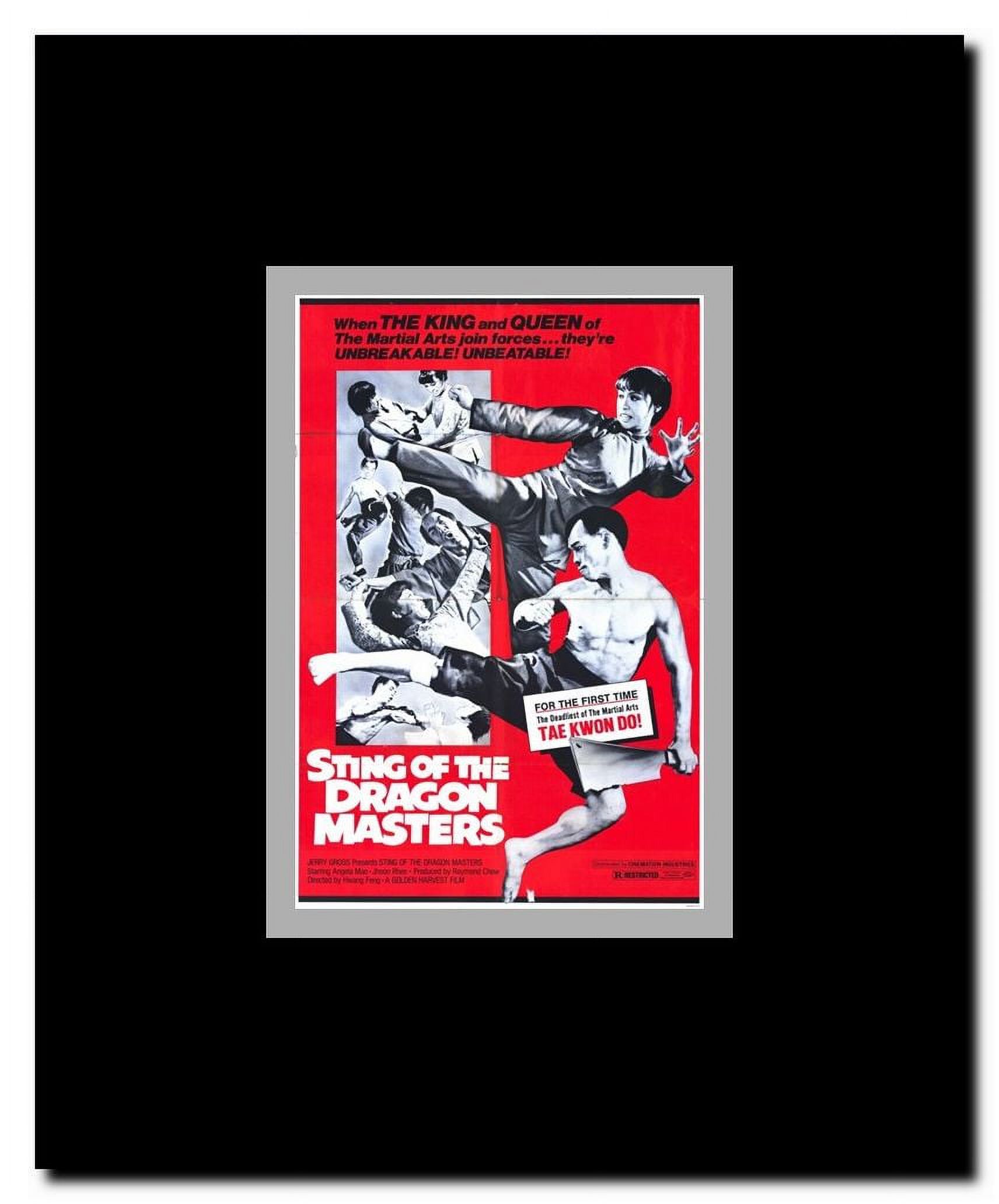 Sting of the Dragon Masters Framed Movie Poster