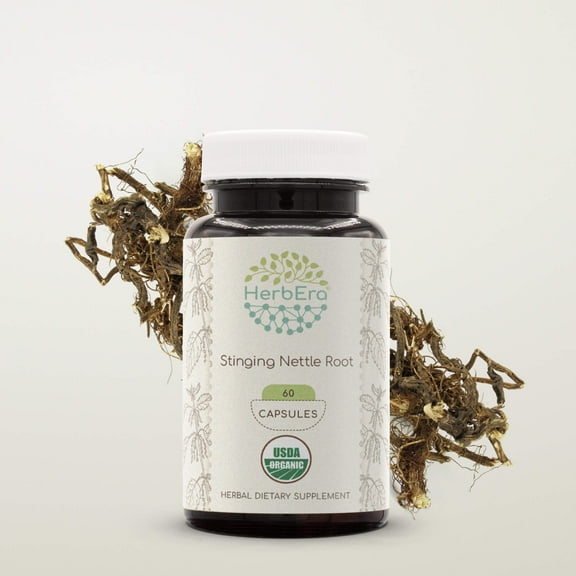 HerbEra Stinging Nettle Root Capsules, Organic Herbal Dietary Supplement for Inflammatory Response Support, Certified Organic Stinging Nettle (Urtica Dioica) Dried Root Capsules, Natural, 60 Capsules