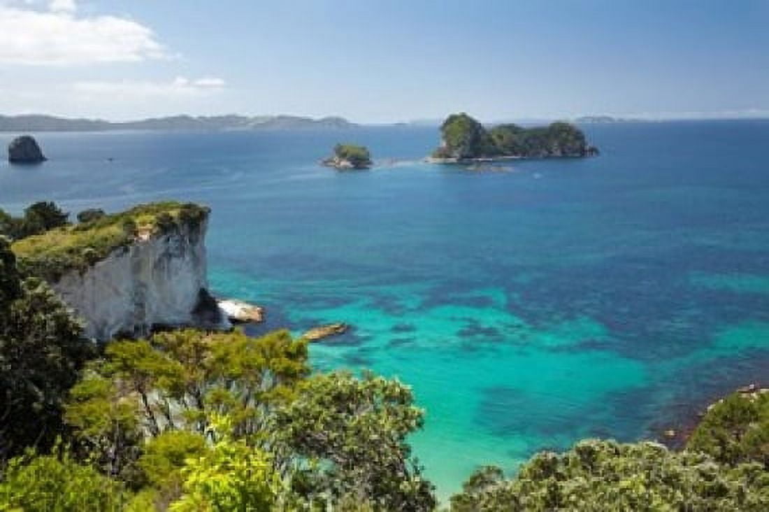 Stingray Bay Cathedral Cove North Island New Zealand Canvas Art - David Wall DanitaDelimont (19 x 12)