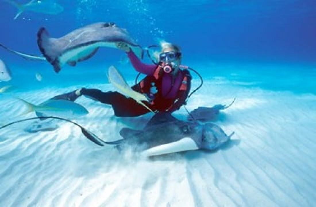 Stingray City Cayman Islands Caribbean Canvas Art - Greg Johnston DanitaDelimont (27 x 18)