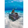 thumbnail image 1 of Stingray City, Grand Cayman, Cayman Islands, Caribbean Poster Print by Greg Johnston (24 x 36), 1 of 1