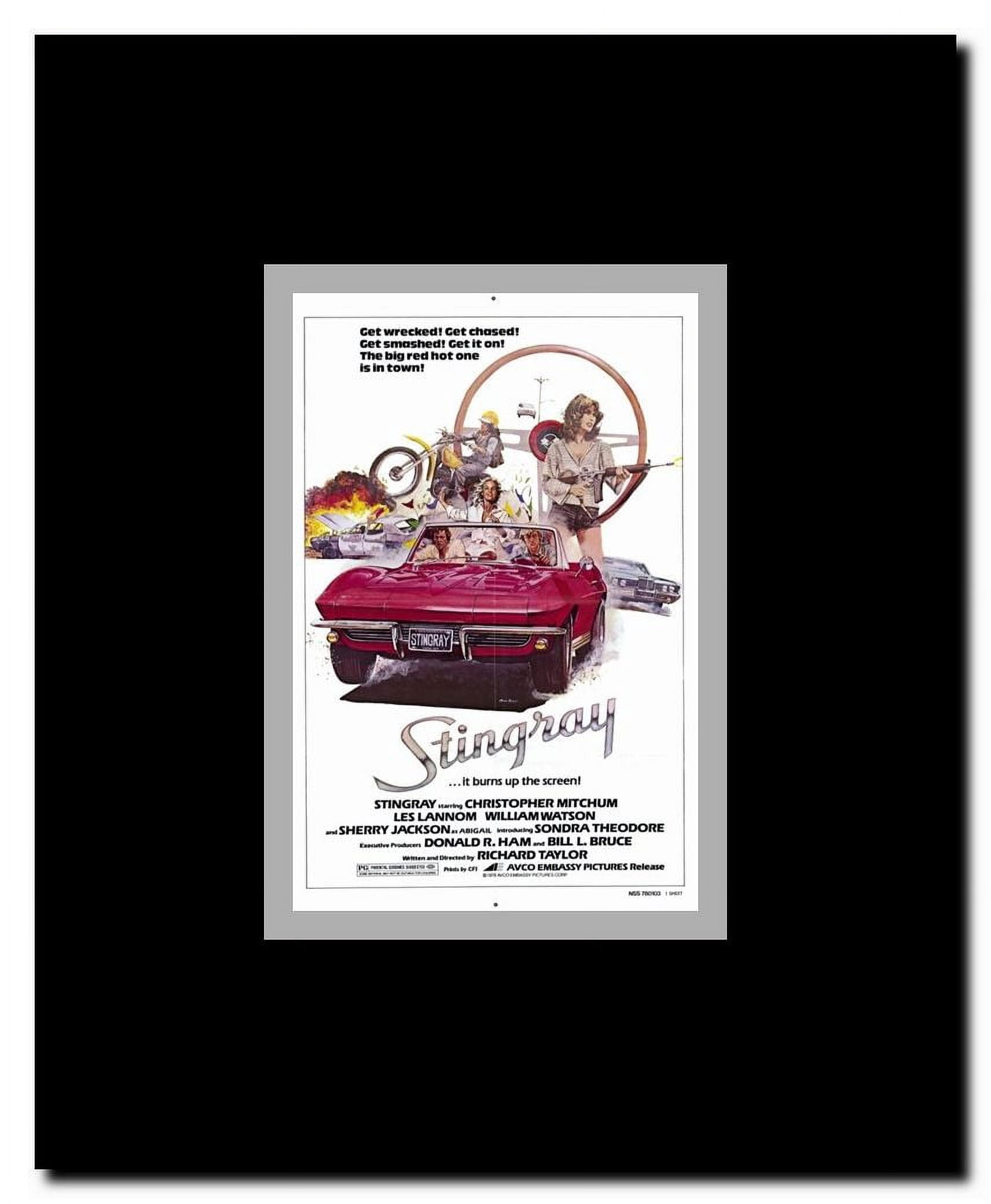 Stingray Framed Movie Poster