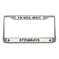 thumbnail image 1 of Stingray License Plate Frame (Chrome) 5 Year Warranty, 1 of 1