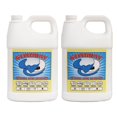 thumbnail image 1 of Stingray Spot Remover 128-2 Spot Remover, 1 Gallon, 2 Pack, 1 of 7