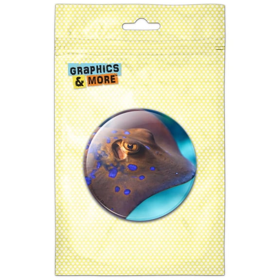 Stingray Swimming Refrigerator Button Magnet