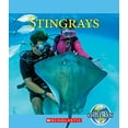 thumbnail image 1 of Pre-Owned Stingrays (Library Binding) 0531268381 9780531268384, 1 of 1