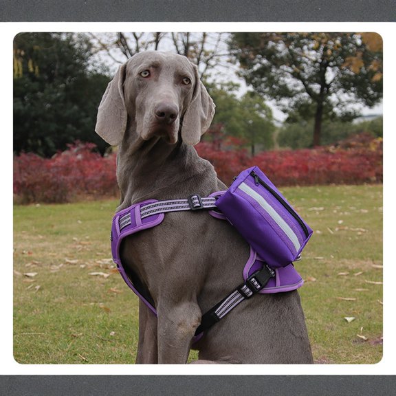 StlyGar Dog Backpack with Large Storage Pouch