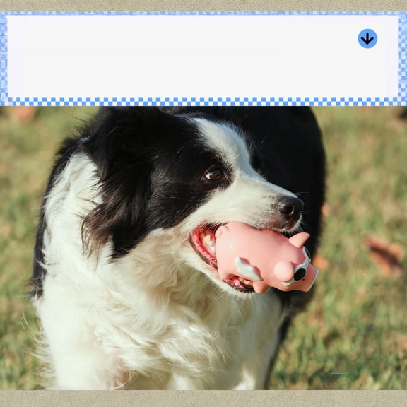 StlyGar Hippopotamus Hippo That Grunts Dog Toy (Assorted Color / 1 Pack), Large Breeds