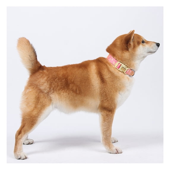 StlyGar Personalized Dog Collar with Nameplate & Reflective Stripe