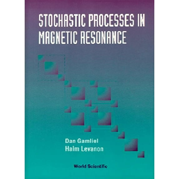 Stochastic Processes in Magnetic..., (Hardcover)