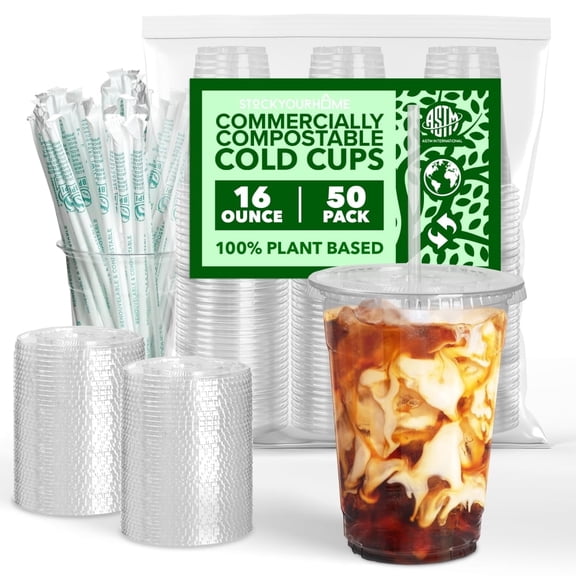Stock Your Home 16 oz Clear PLA Cold Cups 50 Pack Disposable Party Cups for Water Iced Coffee Soda Beer Wine Sample Cups
