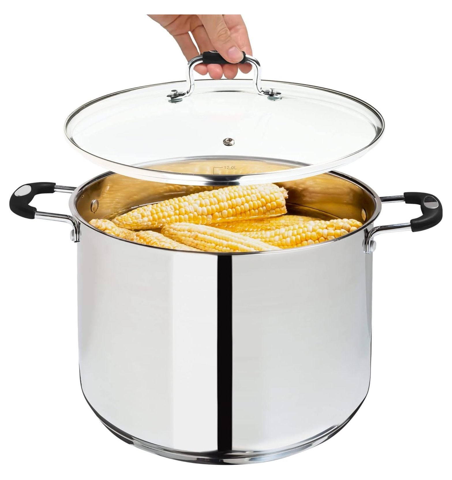 Stock Pot, Large Stainless Steel 12.5 Quart StockPot, Large Cooking Pot