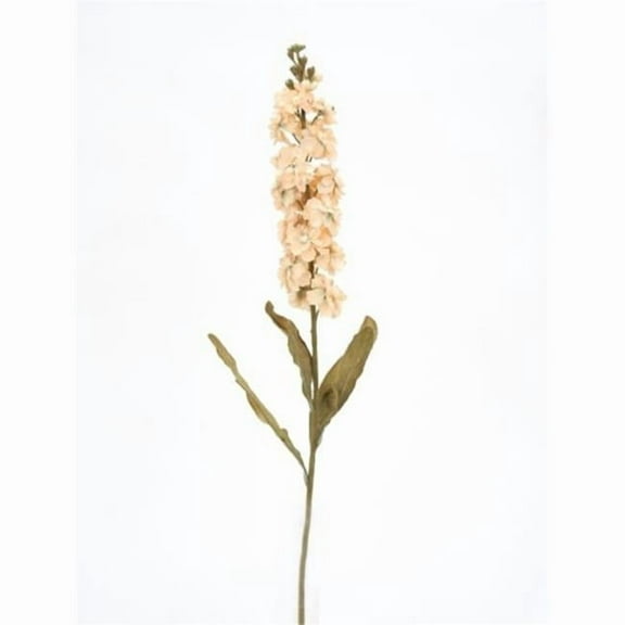 Stock Spray, Ivory - Pack of 12