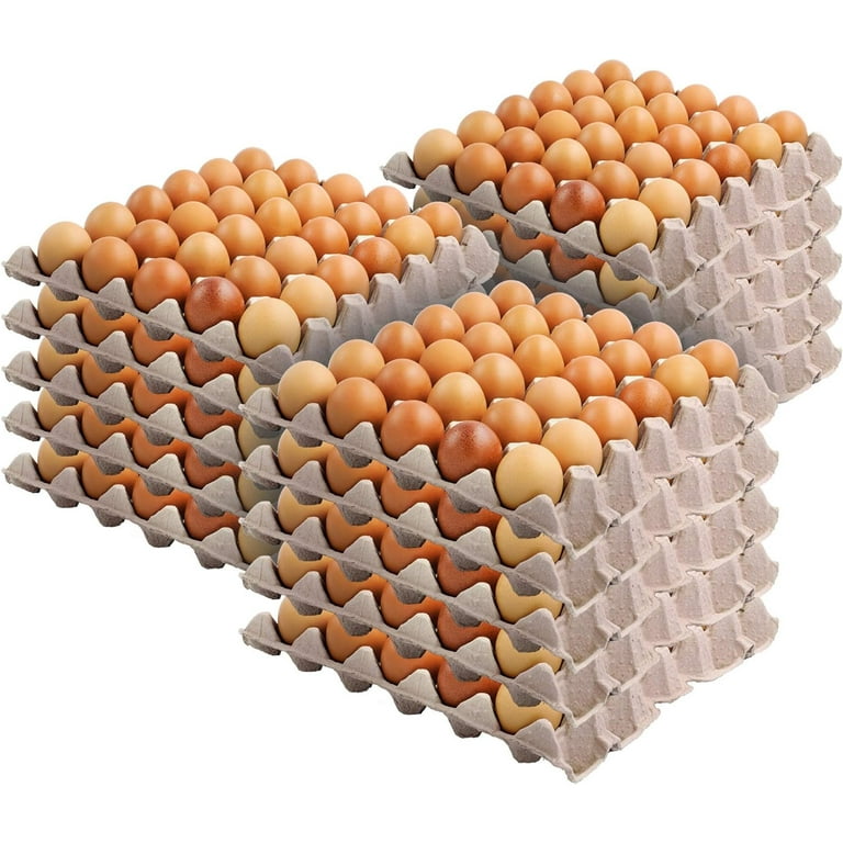 Egg flats walmart best sale