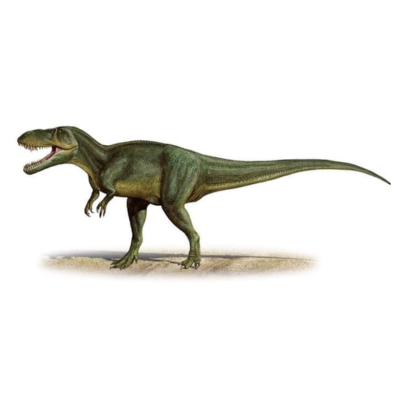 StockTrek Images PSTSKR100074P Torvosaurus Tanneri A Prehistoric Era Dinosaur From The Late Jurassic Period Poster Print, 20 x 9