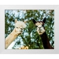 thumbnail image 1 of Stockton, Tyler 14x12 White Modern Wood Framed Museum Art Print Titled - Alpaca Portrait III, 1 of 4