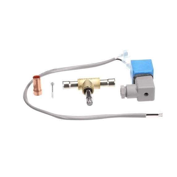 Stoelting 2208014 1/2 Ip65 Solenoid Service Kit