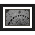 thumbnail image 1 of Stoica, Andra 24x17 Black Ornate Wood Framed with Double Matting Museum Art Print Titled - Ants, 1 of 4