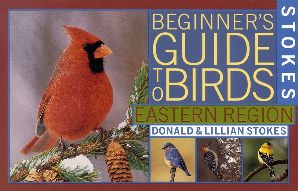 DONALD STOKES; LILLIAN STOKES Stokes Beginner's Guide to Birds: Eastern Region, (Paperback)