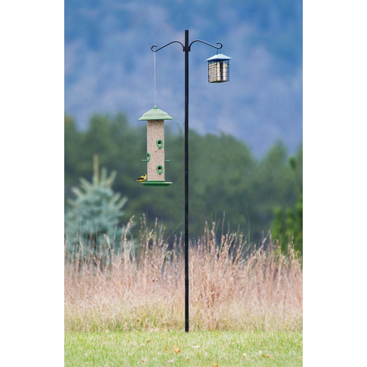Hiatt Manufacturing Stokes Select Bird Feeder Pole - 1 Inch Diameter, Squirrel Proof - 60 Inch — Residential Use, Standard Application