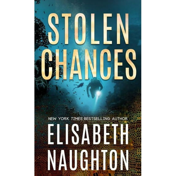 Stolen Chances, (Paperback)
