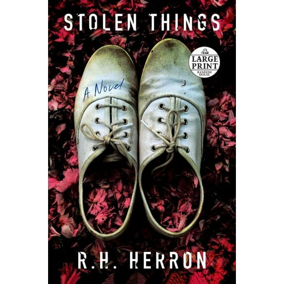 Pre-Owned Stolen Things (Paperback)(Large Print)