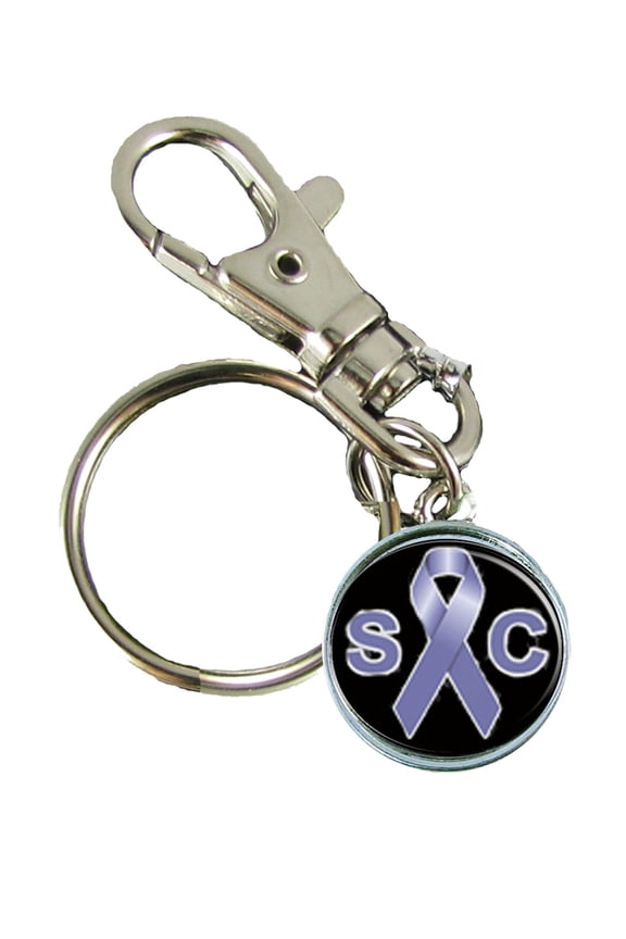 Stomach Cancer Awareness Keychain Support Silver Plated Jewelry Key Chain