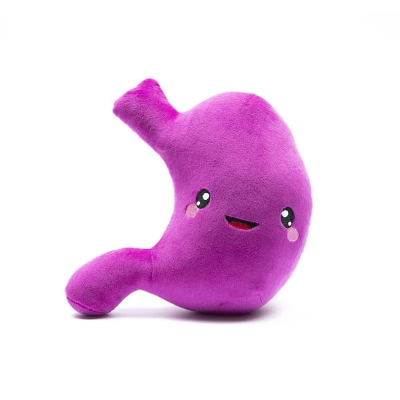 Stomach Plush Organ Toys- Ive Gut a Good Feeling About This! - Nerdbugs Stomach Plushie Organ Toys