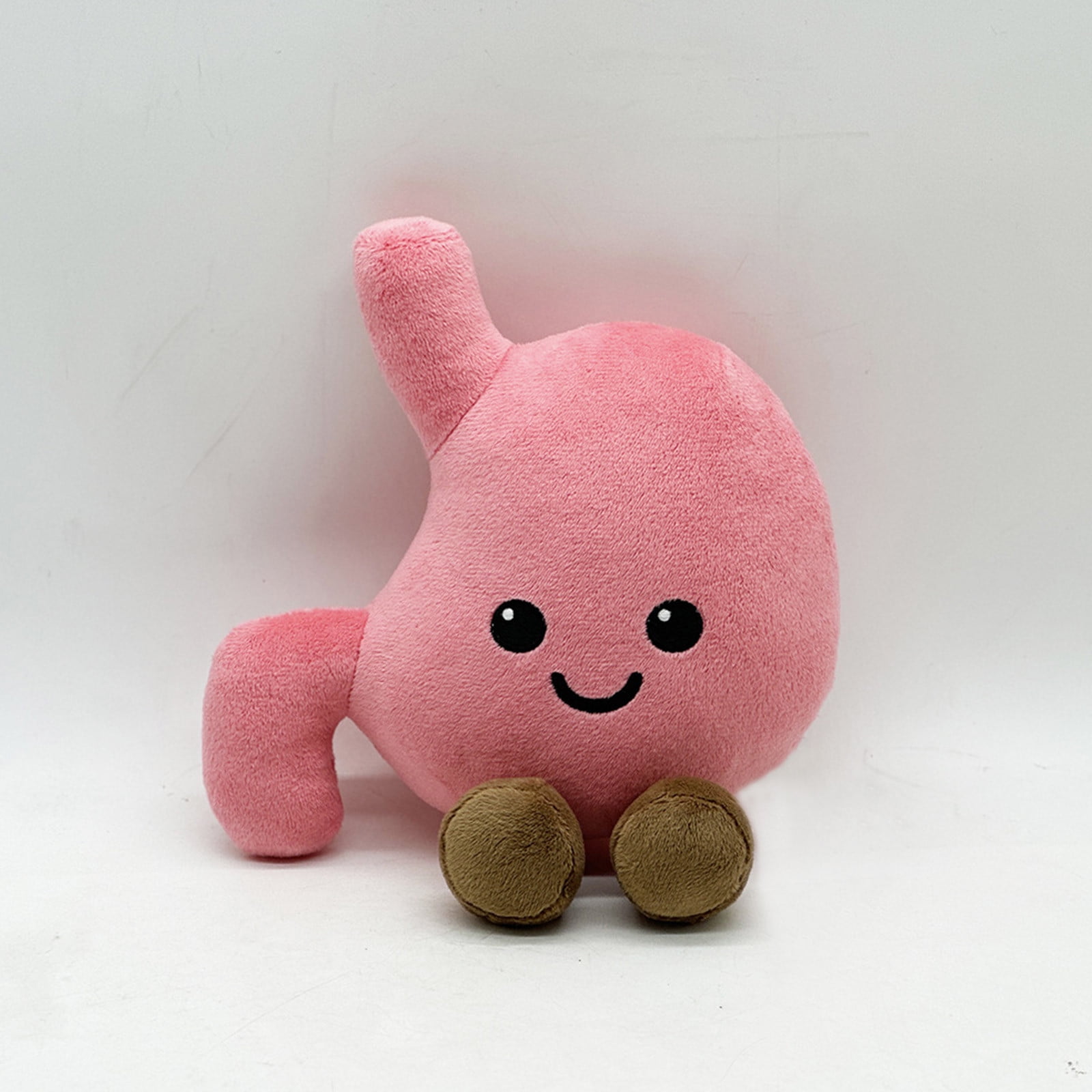 Stomach Plush Toy: Soft, Huggable Organ Model for Anatomy Students ...