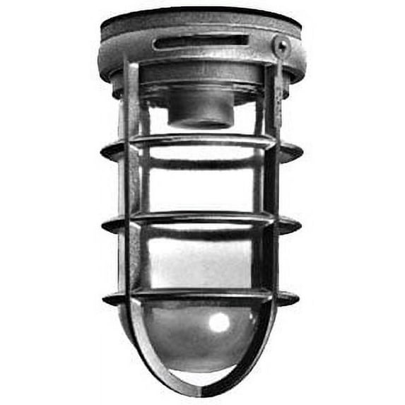 Stonco VK1GC, Ceiling Mount Lighting Fixture, 100W Glass Globe, 1 PC