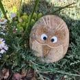 thumbnail image 1 of Stone Age Creations 6" Boulder Angry Bird, Stone, 1 of 7