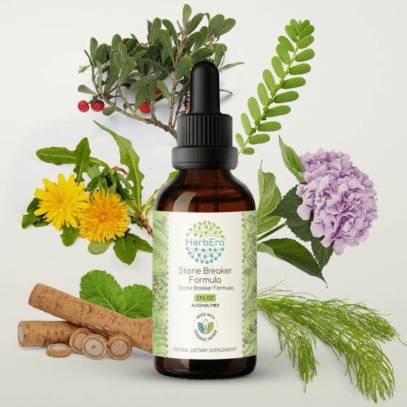 HerbEra Stone Breaker Formula Extract, Dietary Supplement Herbal Formula, Made from Stonebreaker Herb, Burdock Root, Horsetail Herb, Hydrangea Root, Uva Ursi Leaf, Dandelion Root 2 oz