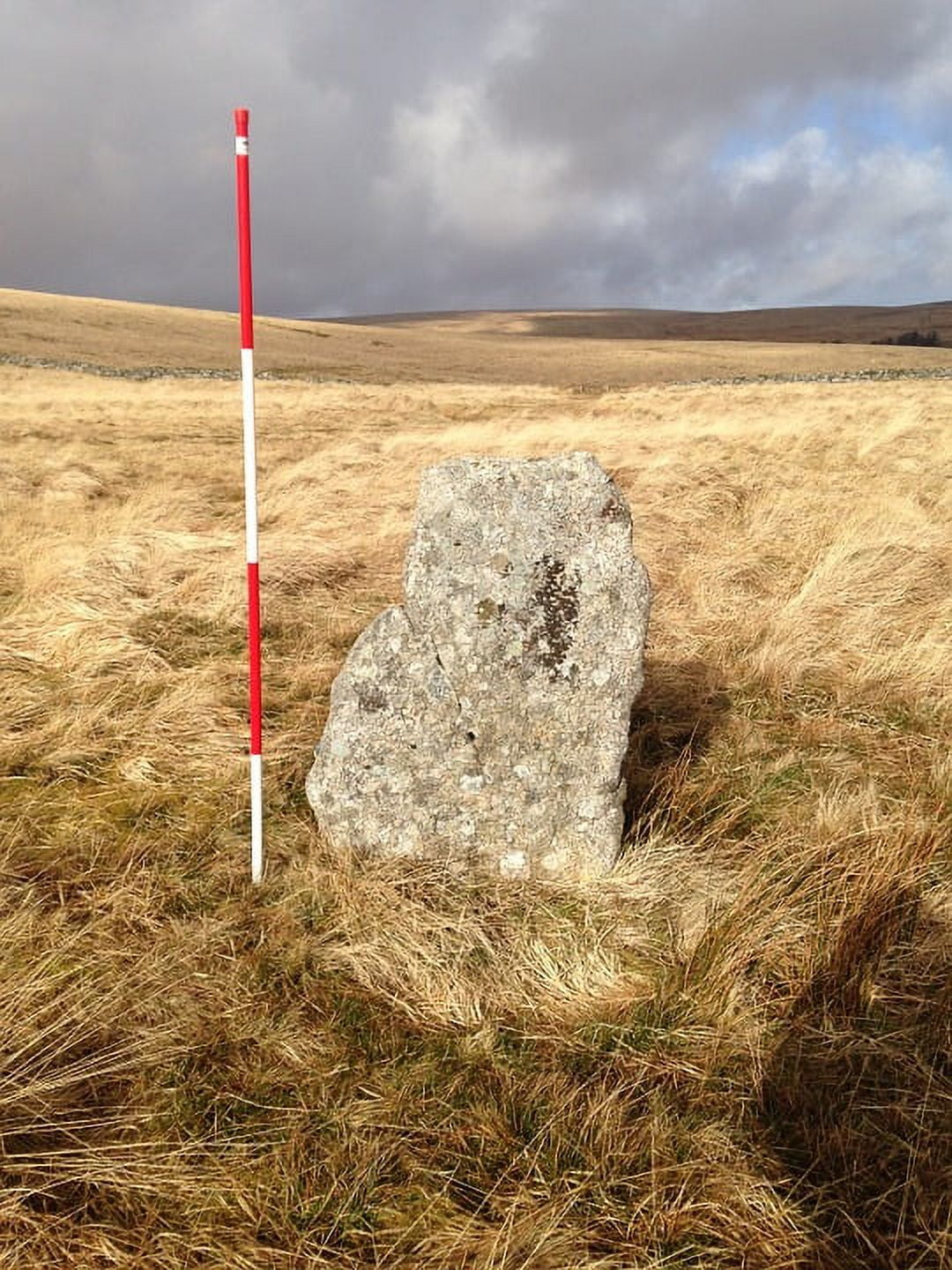 Stone Dartmoor Landscape Monolith Uk Granite - Laminated Poster Print ...