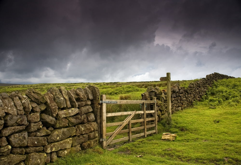 Stone Fence Yorkshire England Canvas Art - John Short Design Pics (34 x 22)