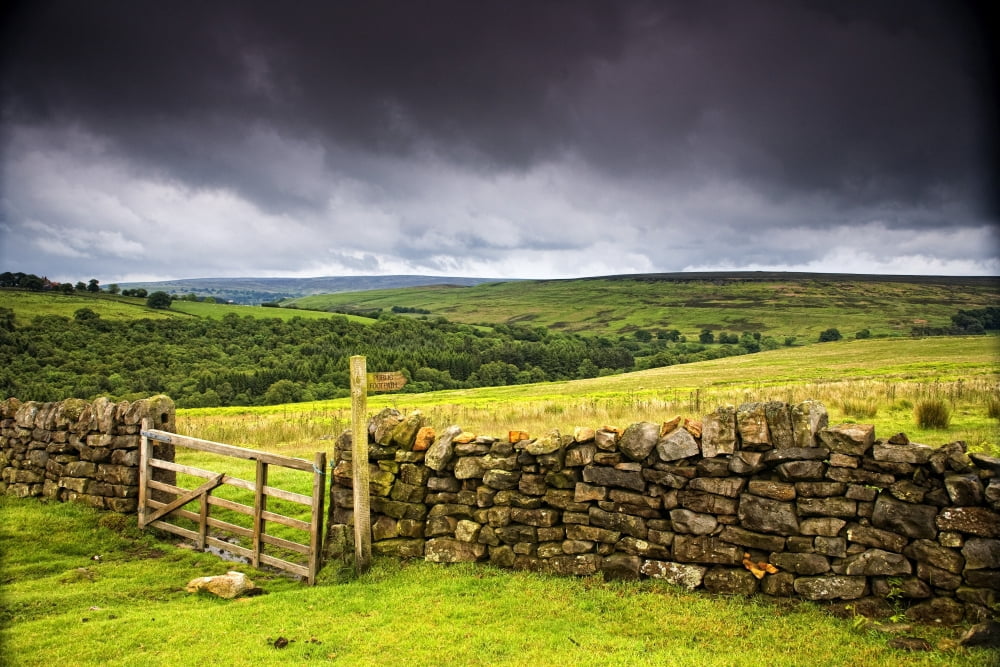 Stone Fence Yorkshire England Canvas Art - John Short Design Pics (36 x 24)