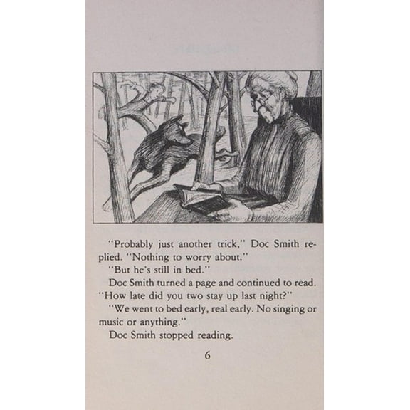 Pre-Owned Stone Fox Paperback