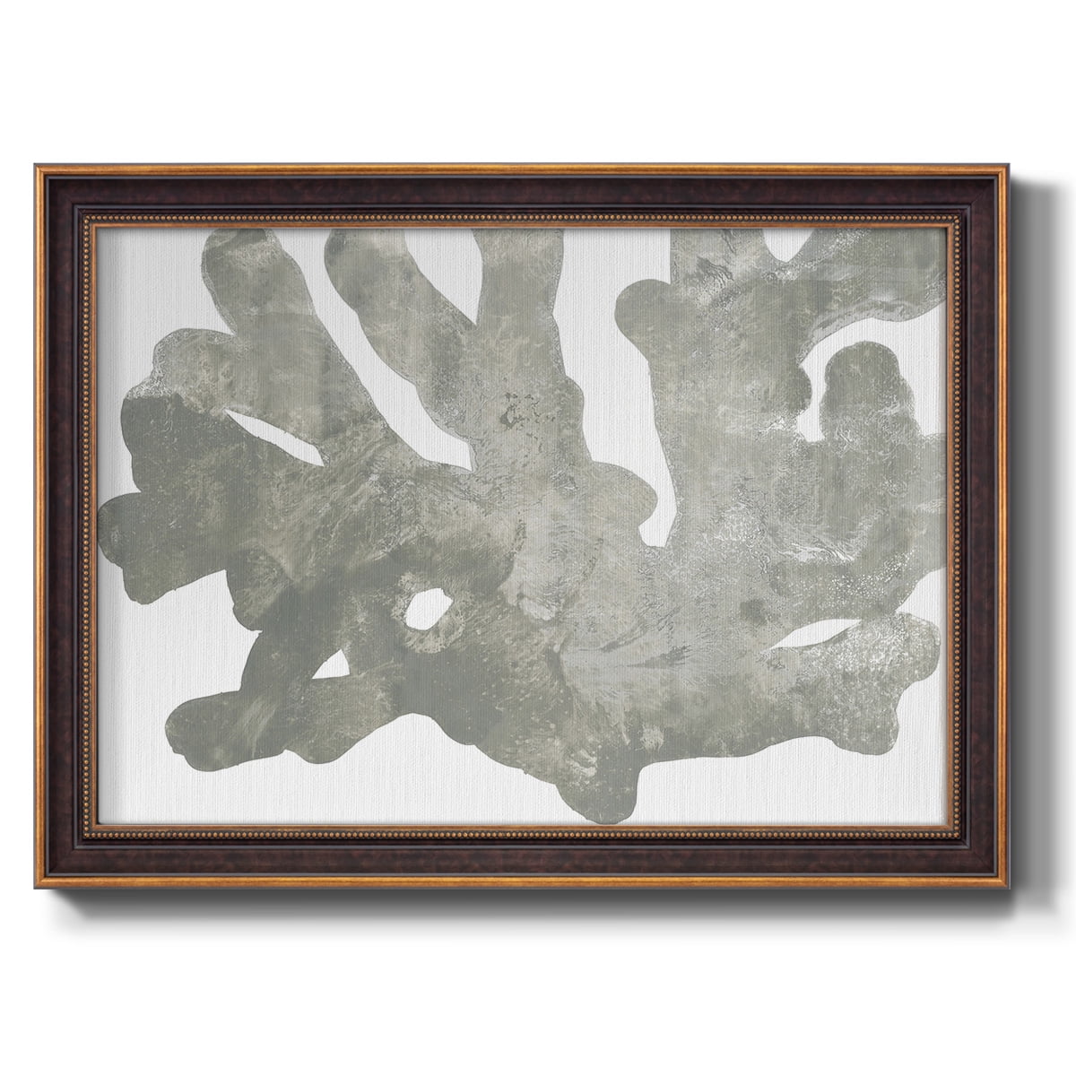 Stone Macro Coral IV Premium Framed Canvas- Ready to Hang